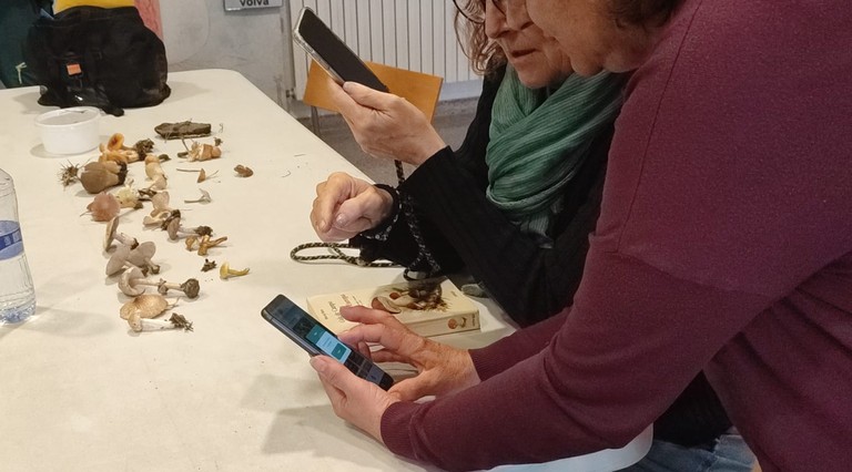 imatge de l'acte